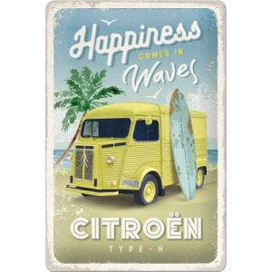 Citroen Type H - Happiness Comes In Waves-image